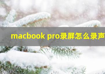 macbook pro录屏怎么录声音